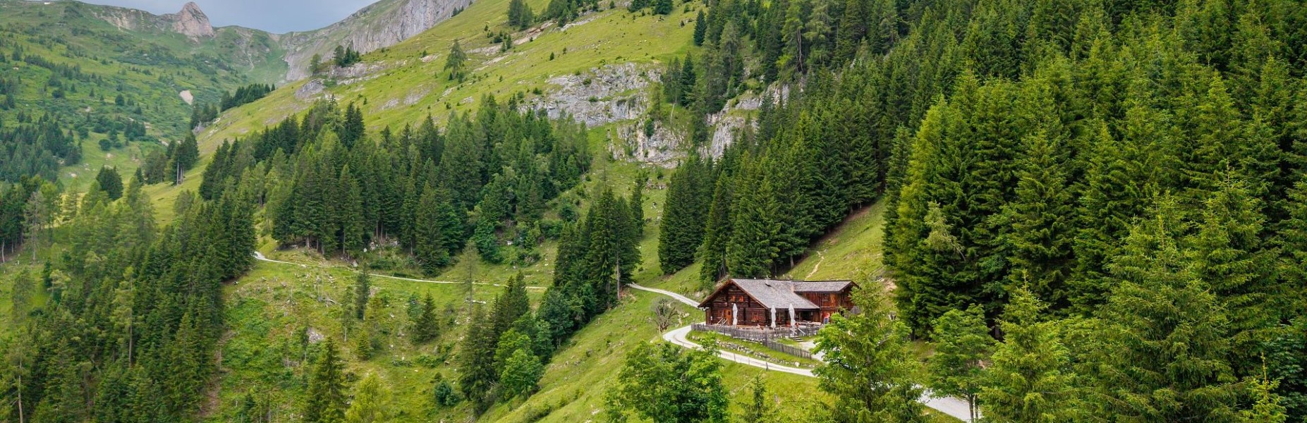 Wanderung entlang der Forstwege