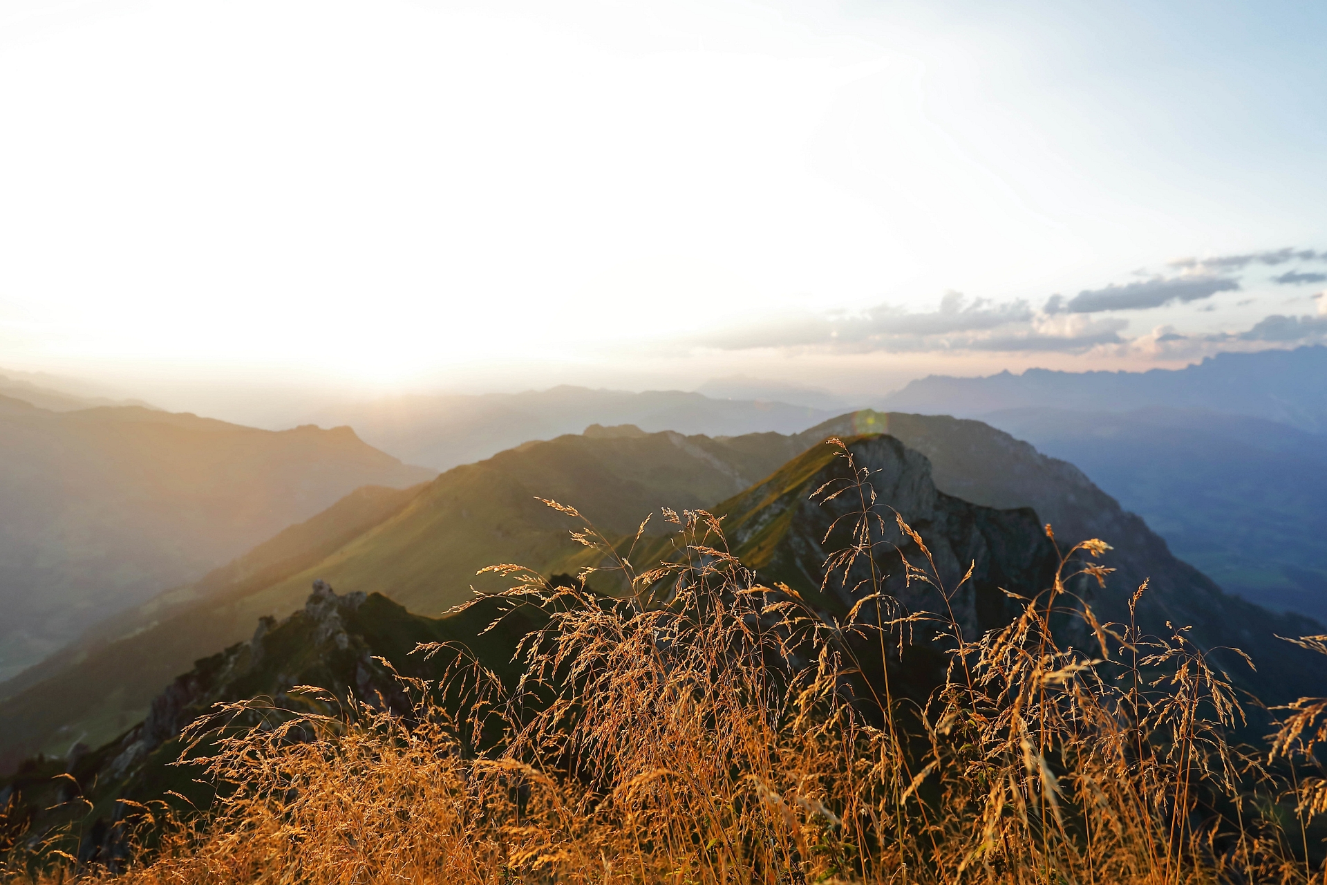 Sommerauszeit im Fichtenhof