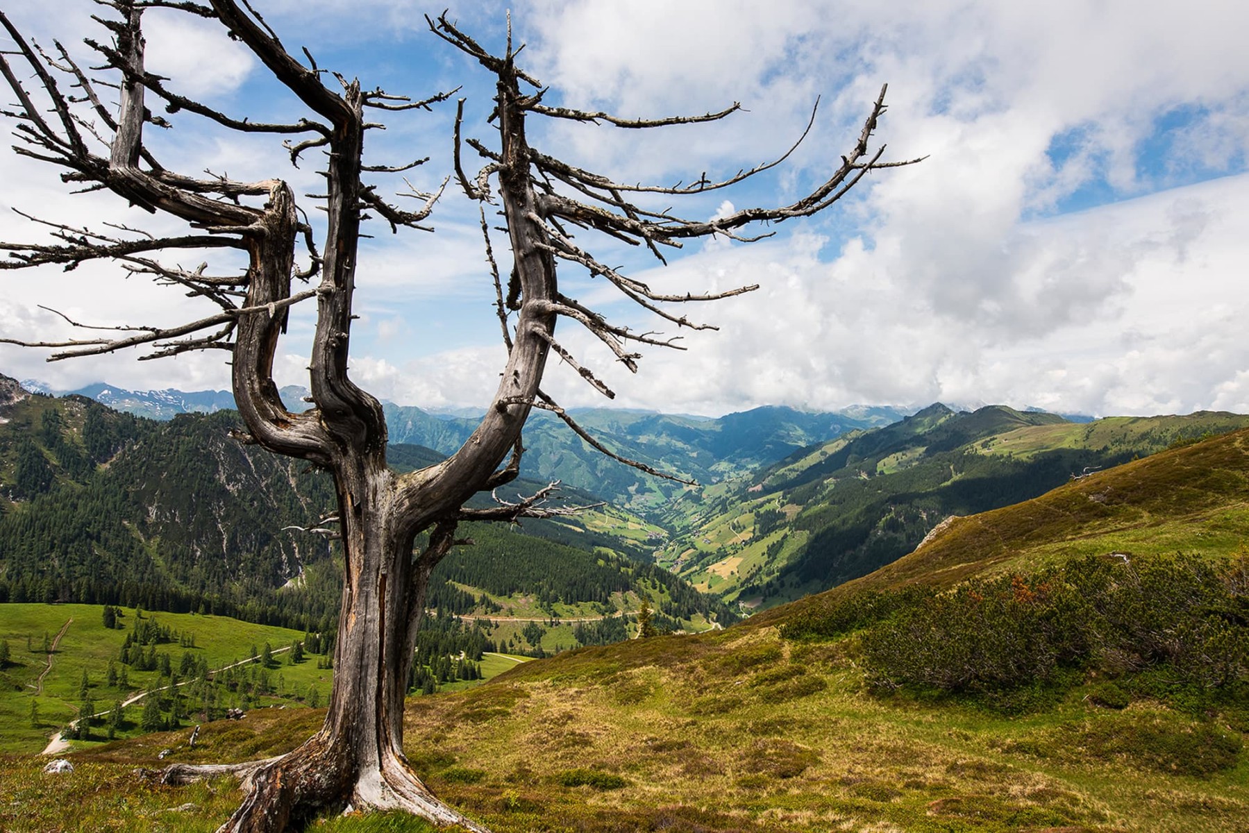 Hoch hinaus beim Sommerliftln im Großarltal