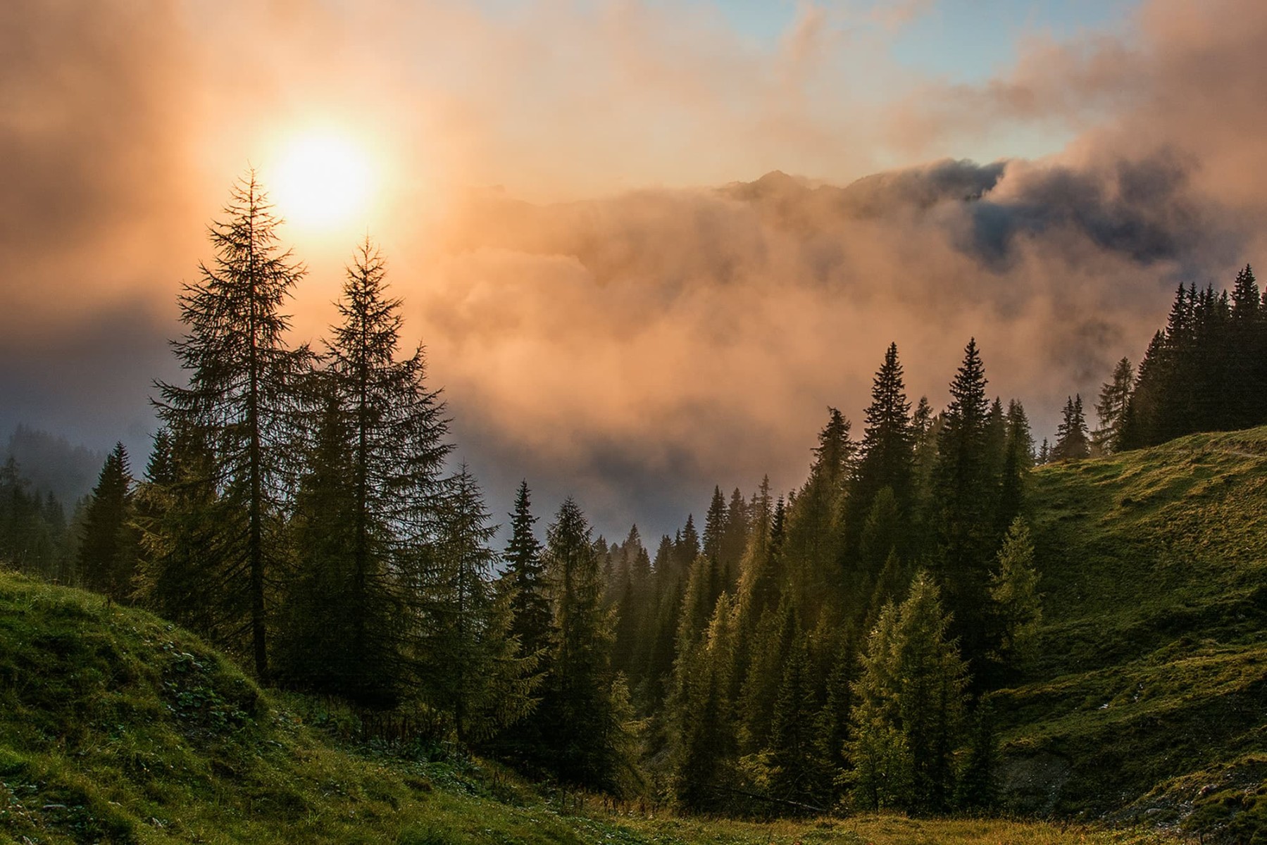 Morgenstimmung mit Nebelschwaden über Wiesen und Wälter im Großarltal