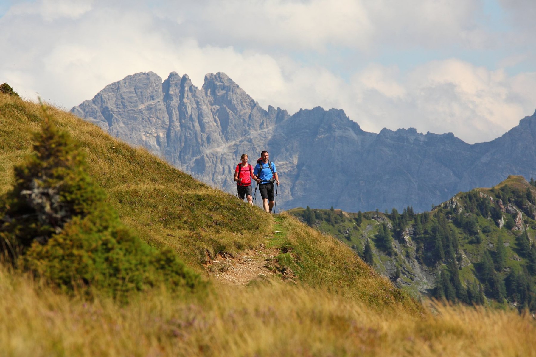 Wanderung entlang der Forstwege
