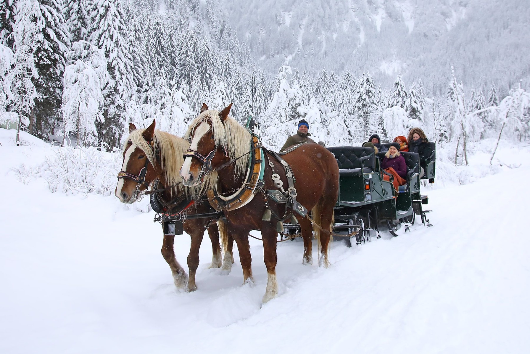 Pferdeschlittenfahrt im Winter in Großarl